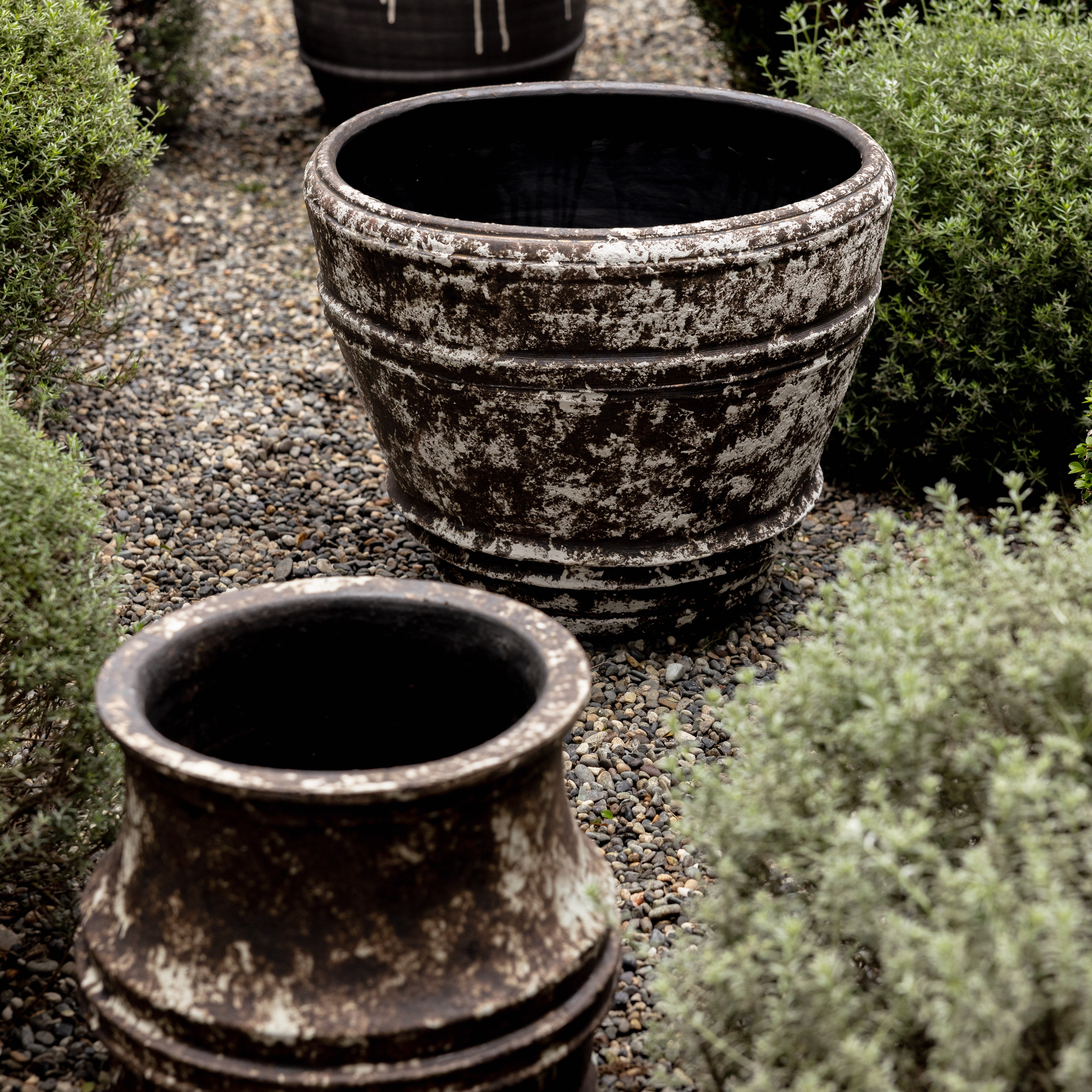 Planter 01 - M